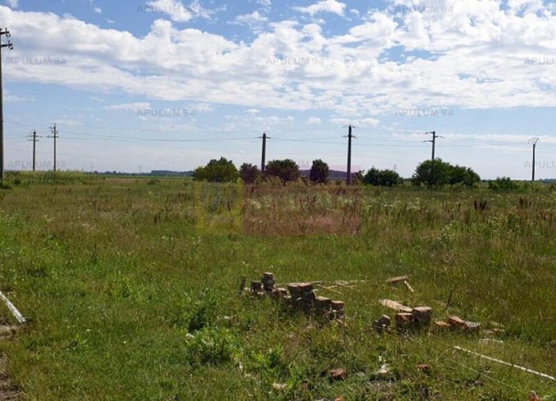 Teren aproape de Bucuresti langa padure intre case