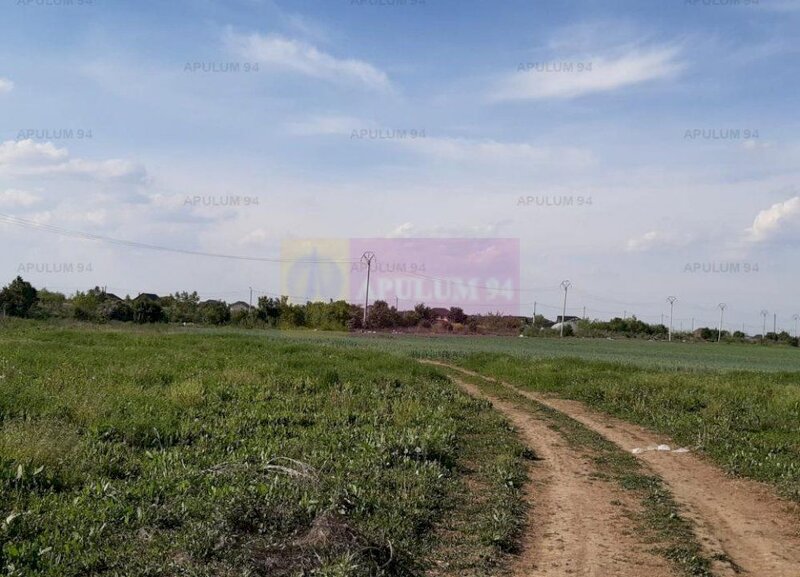 Teren aproape de Bucuresti langa padure intre case