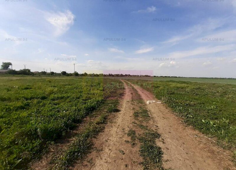 Teren aproape de Bucuresti langa padure intre case