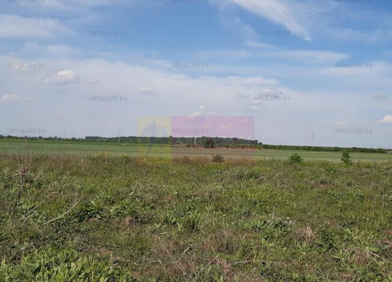 Teren aproape de Bucuresti langa padure intre case