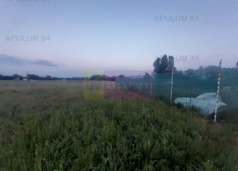 Teren aproape de Bucuresti langa padure intre case