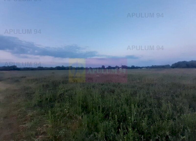 Teren aproape de Bucuresti langa padure intre case