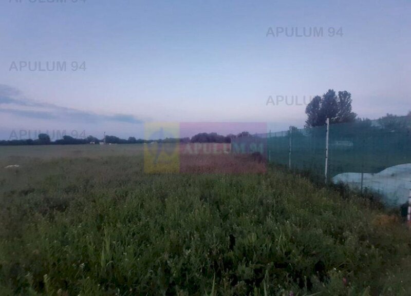 Teren aproape de Bucuresti langa padure intre case