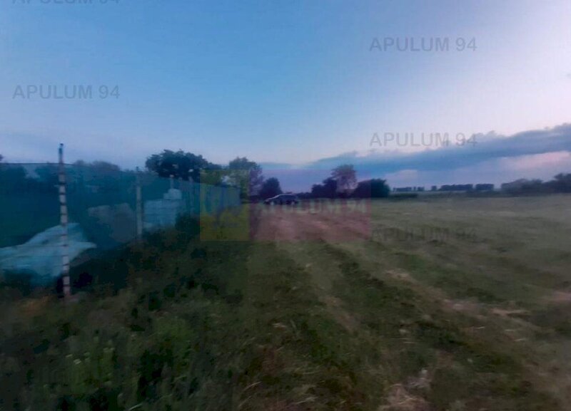 Teren aproape de Bucuresti langa padure intre case