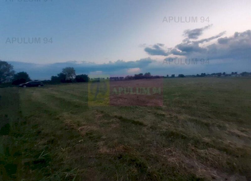 Teren aproape de Bucuresti langa padure intre case