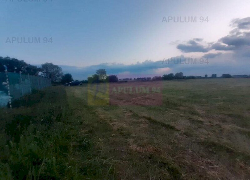 Teren aproape de Bucuresti langa padure intre case