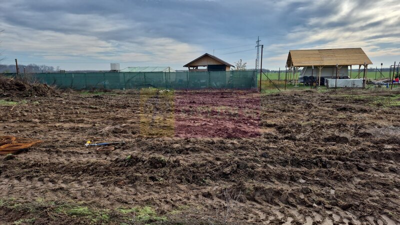 Teren aproape de Bucuresti langa padure intre case