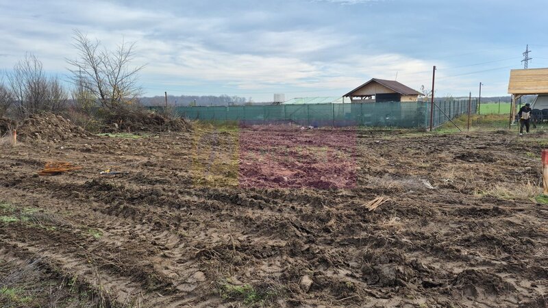 Teren aproape de Bucuresti langa padure intre case