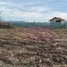 Teren aproape de Bucuresti langa padure intre case
